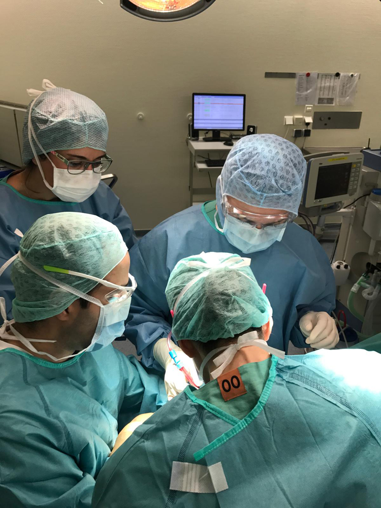 Diş Eti Ameliyatları