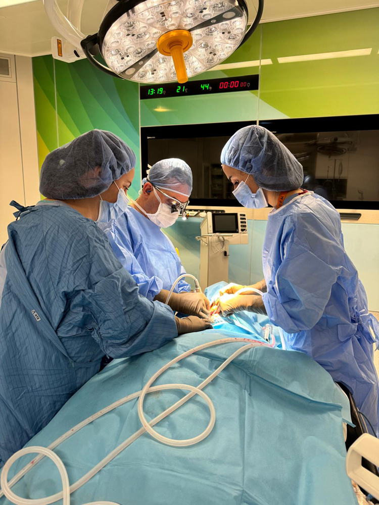 İmplant Diş Fiyat Listesi