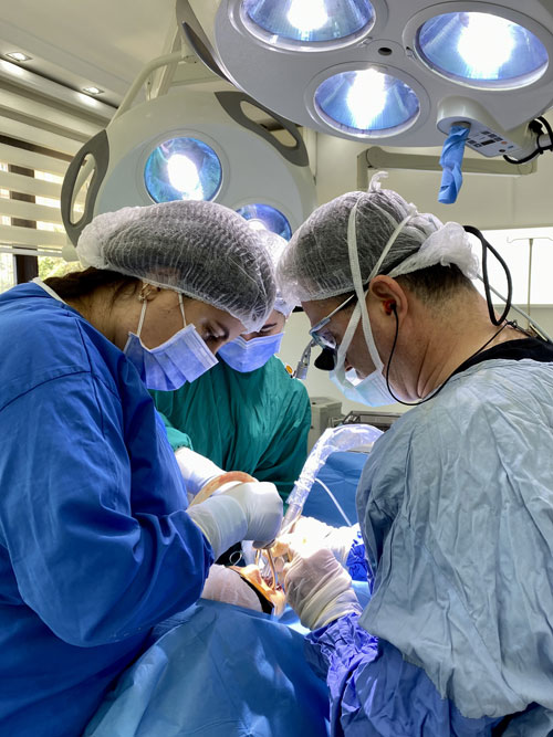 İmplant Dişin Estetik Görünümü
