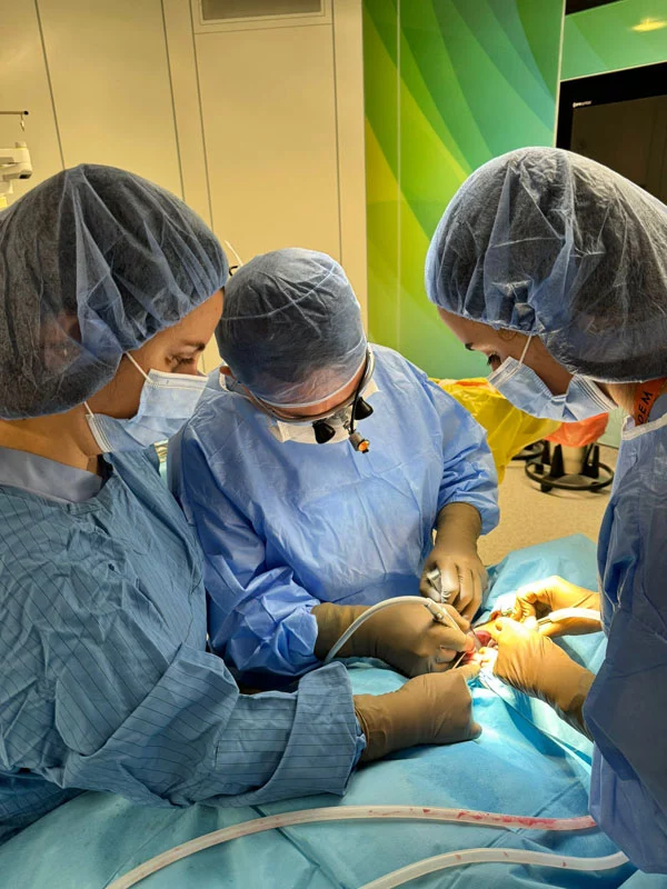 Kemik Erimelerinde İmplant Tedavisi İstanbul